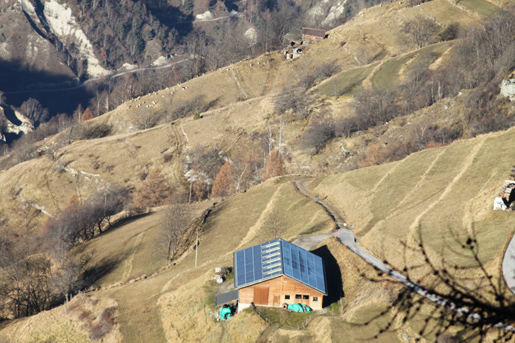 bergerie panneau solaire