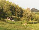 IMG 0142