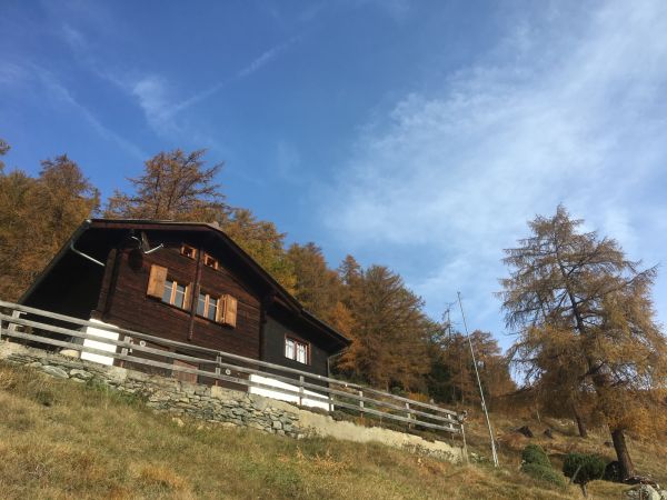 IMG 0787