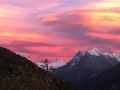 IMG 7262