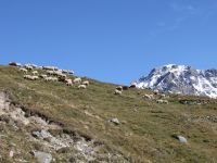 La région