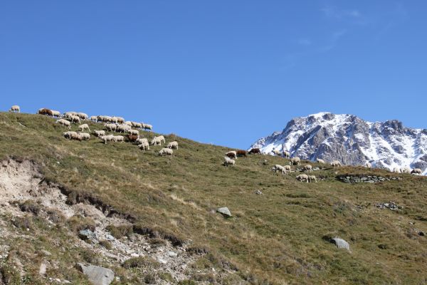 IMG 0593