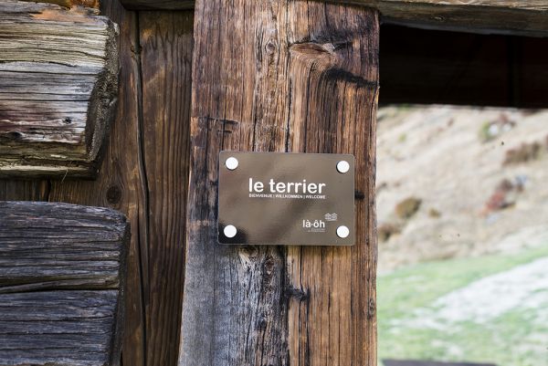 terrier DSC9805